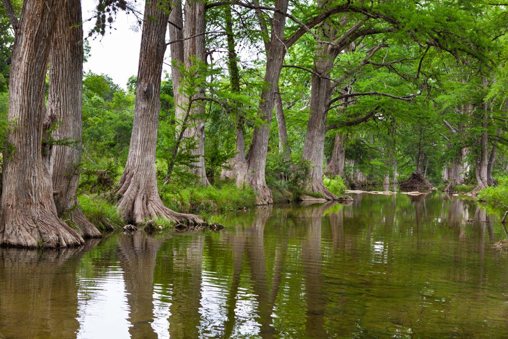 Blanco Ranch - Burgher Ray Ranch Group