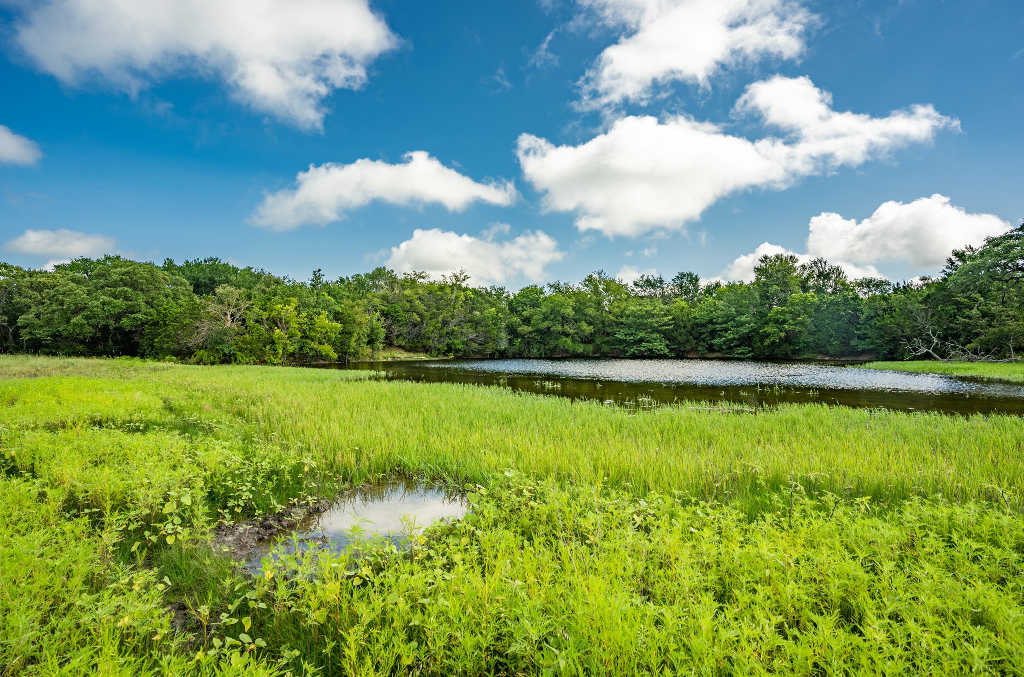 Hog Creek Ranch | Burgher Ray Ranch Group