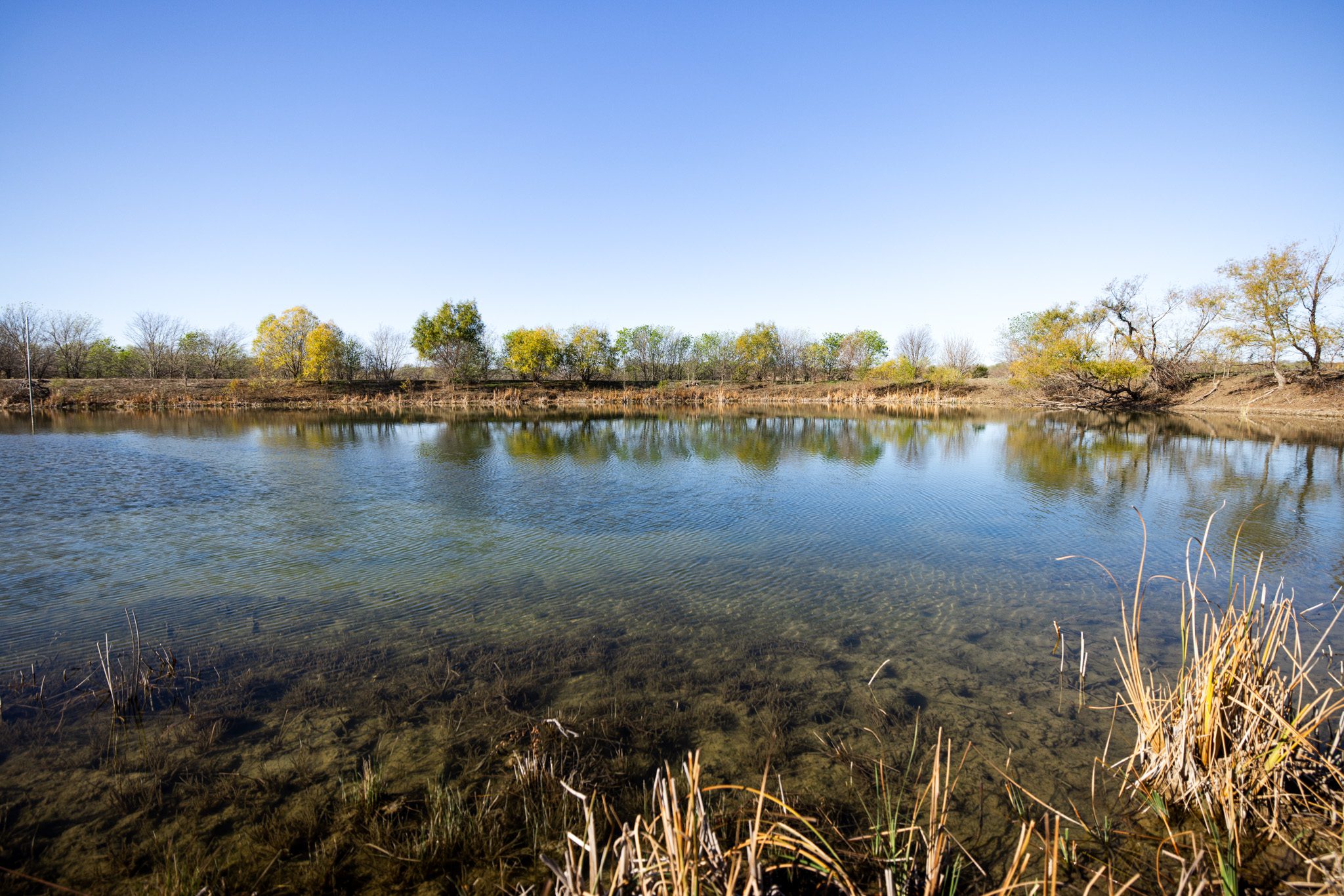 Onion Creek Ranch Burgher Ray Ranch Group   OC 1 